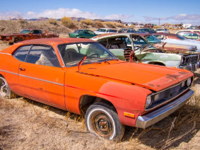 salvaged cars